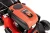 19.webp