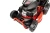 12.webp