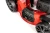17.webp