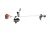 4.webp