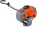 7.webp